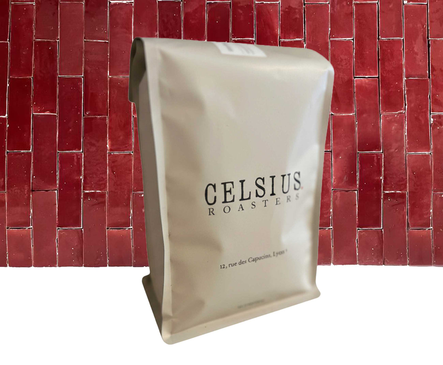 Orion - Costa Rica Cordillera del Fuego thermal fermentation