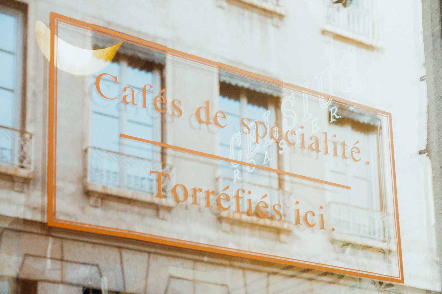 Vitrine cafes de specialite torrefies ici