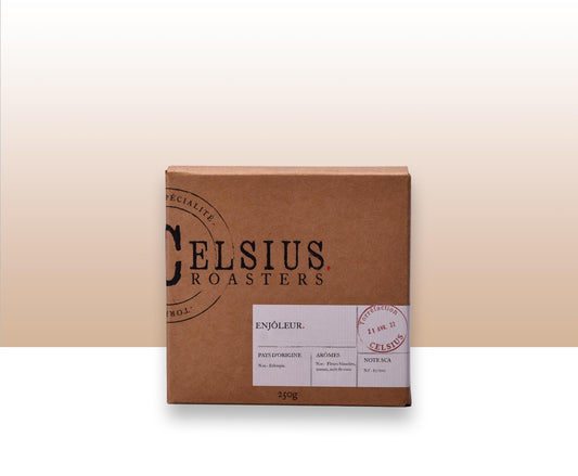 The Charmer - Ethiopia Abebe Hilu Naturel