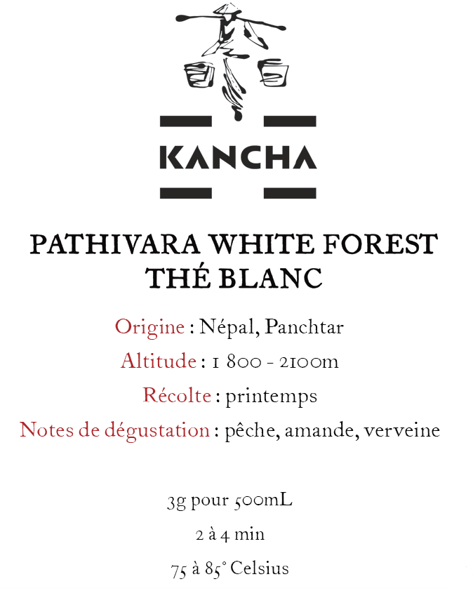 Thé blanc Pathivara White Forest| Kancha